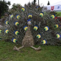 Zobacz w powiększeniu: Dożynki Powiatowe Baranów 2021 (52)